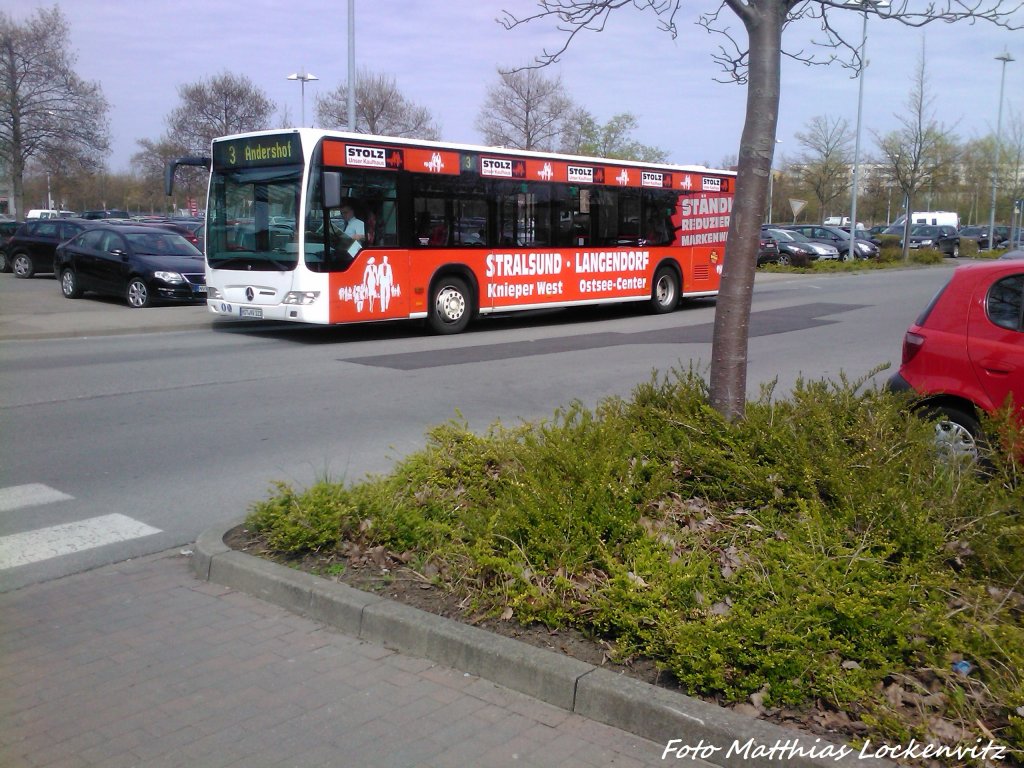 MB Bus der SWS in Stralsund  an der Haltestelle Stralsund, Strelapark/Zoo am 2.5.13