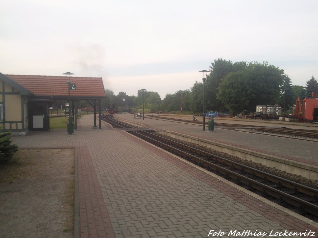 RBB 99 1781 wird von der 251 901 mit dem Gesammten zug Rangiert im Bahnhof Putbus am 27.7.13