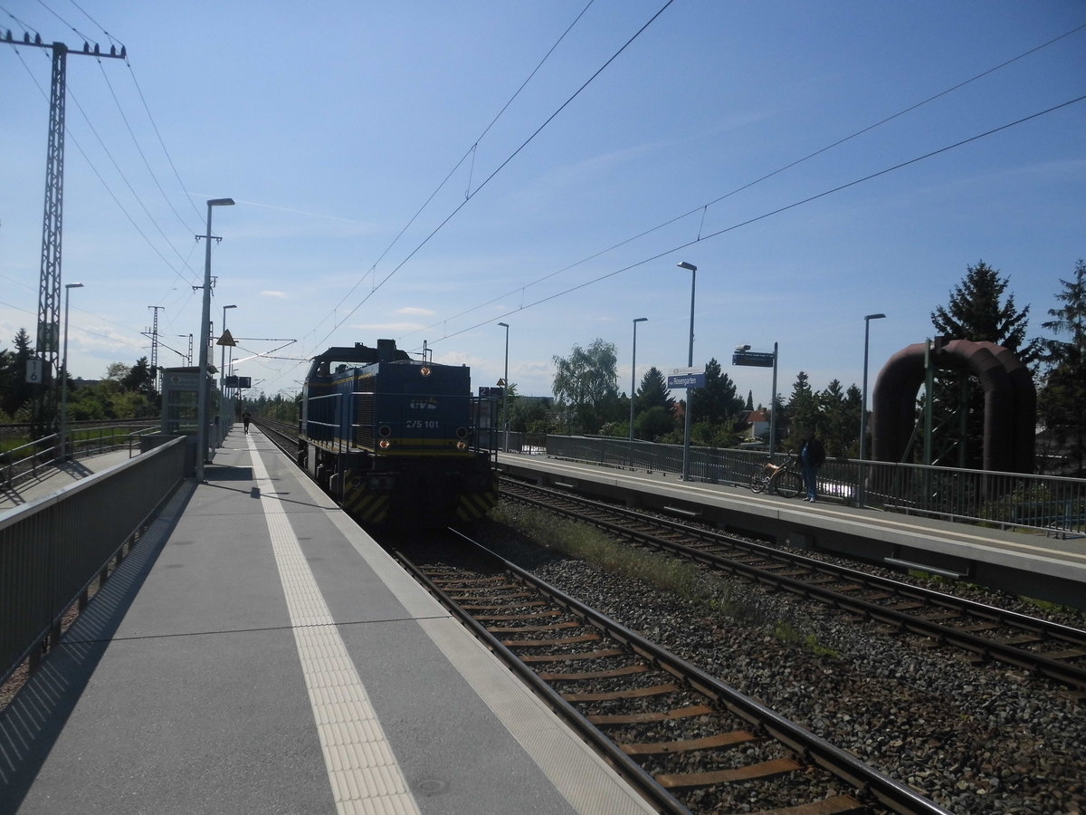 275 101 der EVB beim durchfahren des Bahnhofs Halle-Rosengarten am 15.5.17