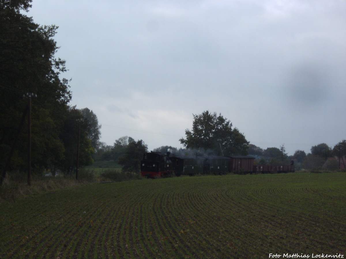 99 4511 mit dem Sonderzug-GmP zwischen Beuchow und Posewald am 12.10.14