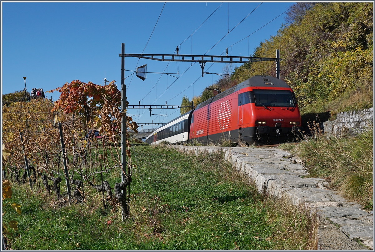 Die SBB Re 460 074-8 mit einem IC zwischen Bossière und Grandvaux.
26. Okt. 2017
