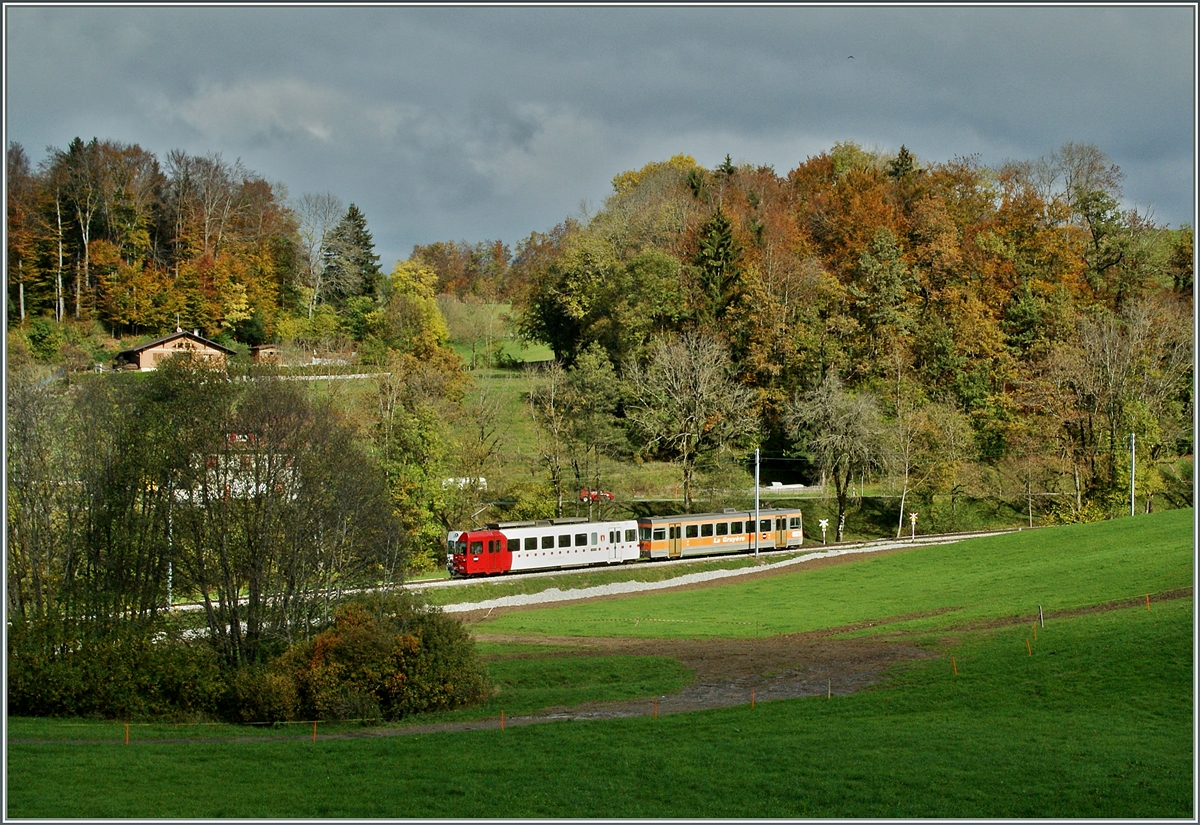 Ein bunter TPF Regionalzug auf der Fahrt von Chtel St-Denis nach Palzieux. 
30. Okt. 2013