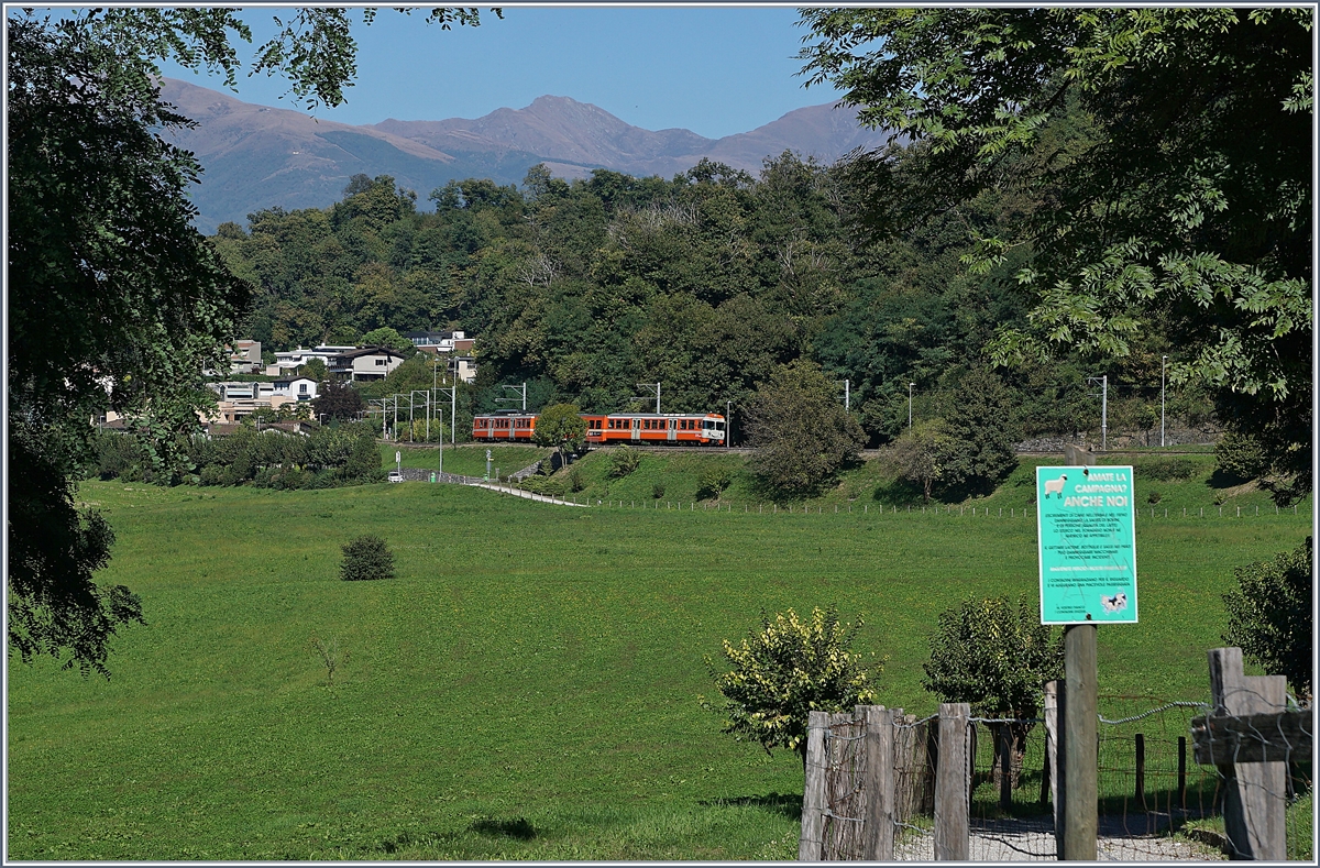 Ein FLP Regionalzug auf dem Weg nach Ponte Tresa zwischen Sorengo Laghetto und Cappella Agnuzzo.

27. Sept. 2018


