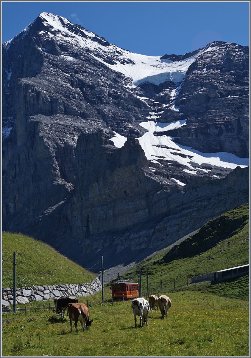 Ein JB Zug auf dem Weg zur Höchsten Bahnstation , dem Jungfraujoch.
Das Bild entstand oberhalb von der Kleine Scheidegg, im Hintergrund die schattige Eiger Nord Wand.
8. Aug.2016
