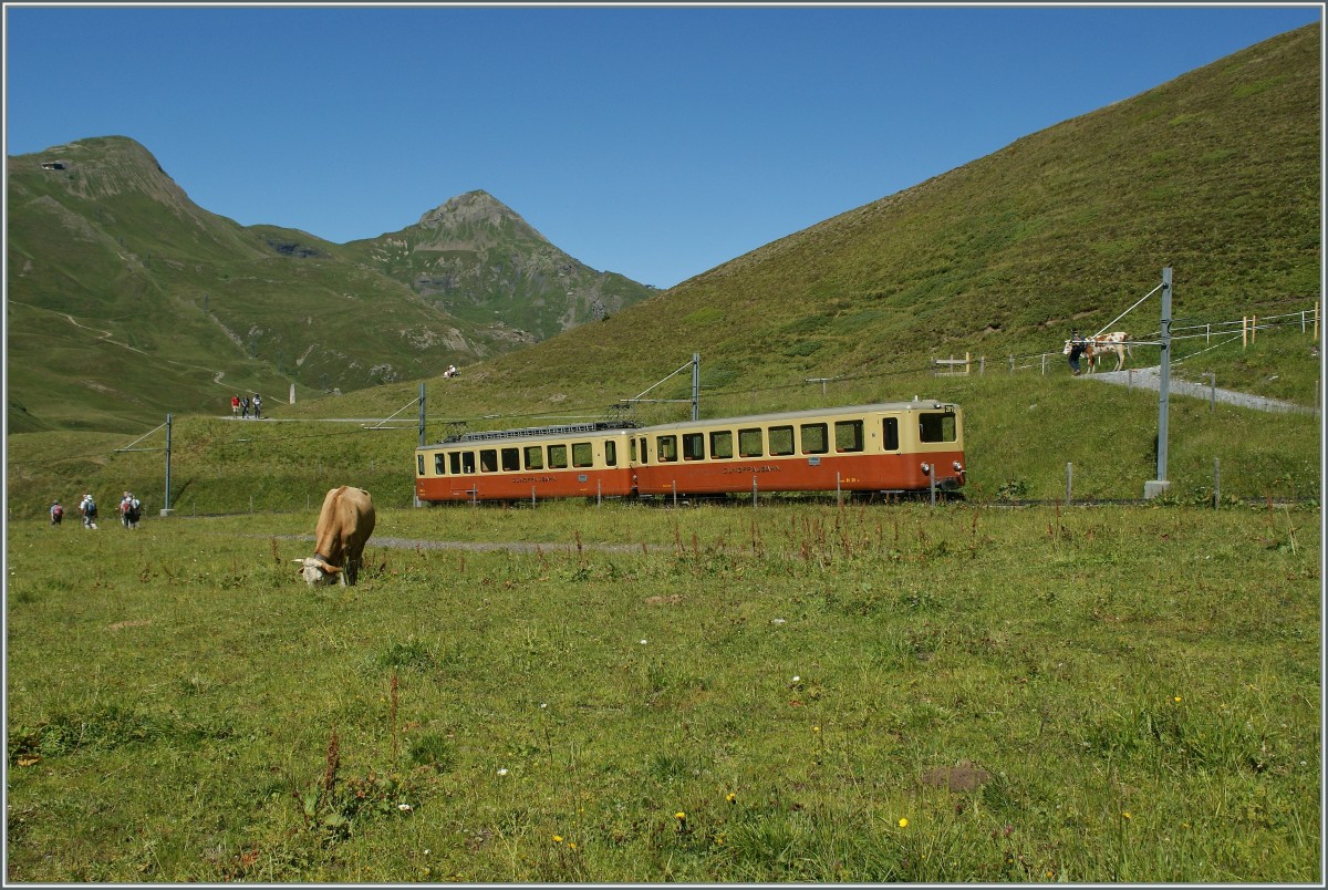 Ein Jungfraubahntreibwagen mit Steuerwagen zwischen der Kleinen Scheidegg und Eigergletscheer.
21. Augutst 2013