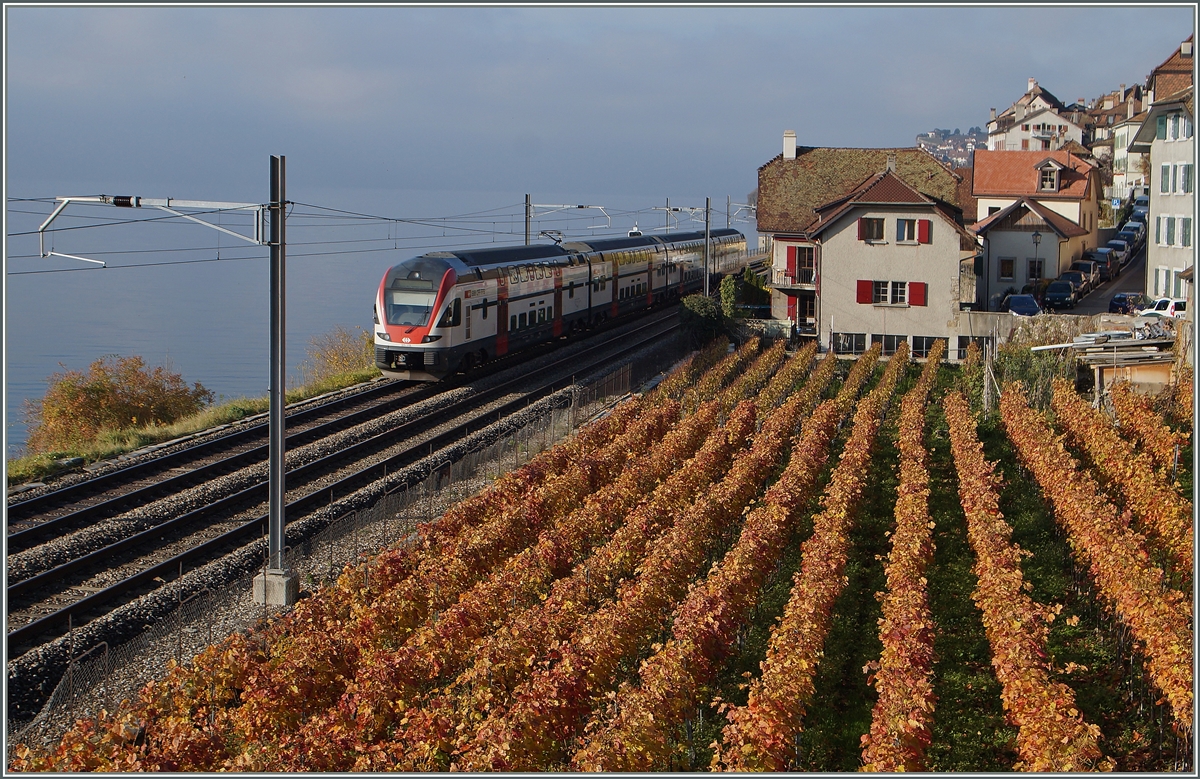 Ein SBB RABe 511 als RE von Vevey nach Genève bei St-Saphorin.
22. Nov. 2014