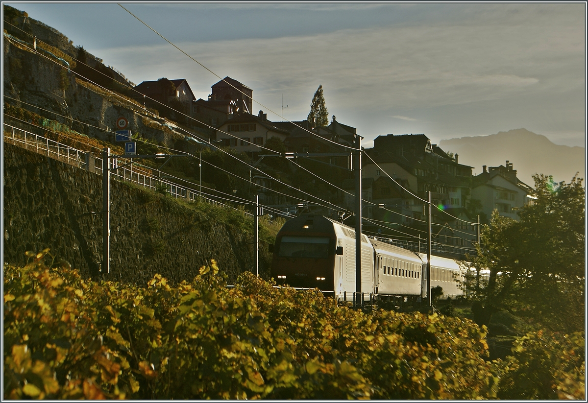 Herbst im Lavaux: Eine SBB Re 460 mit einem IR bei St-Saphorin.
28. Okt. 2014
