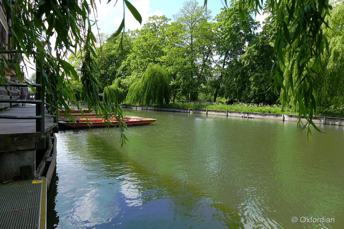 River Cam in Cambridge, England im Mai 2014.