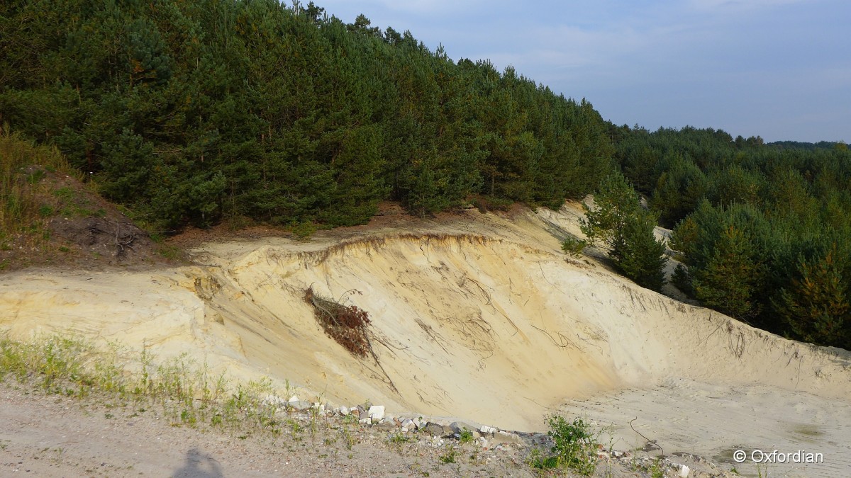 Sandgrube in Breloh, Lüneburger Heide.