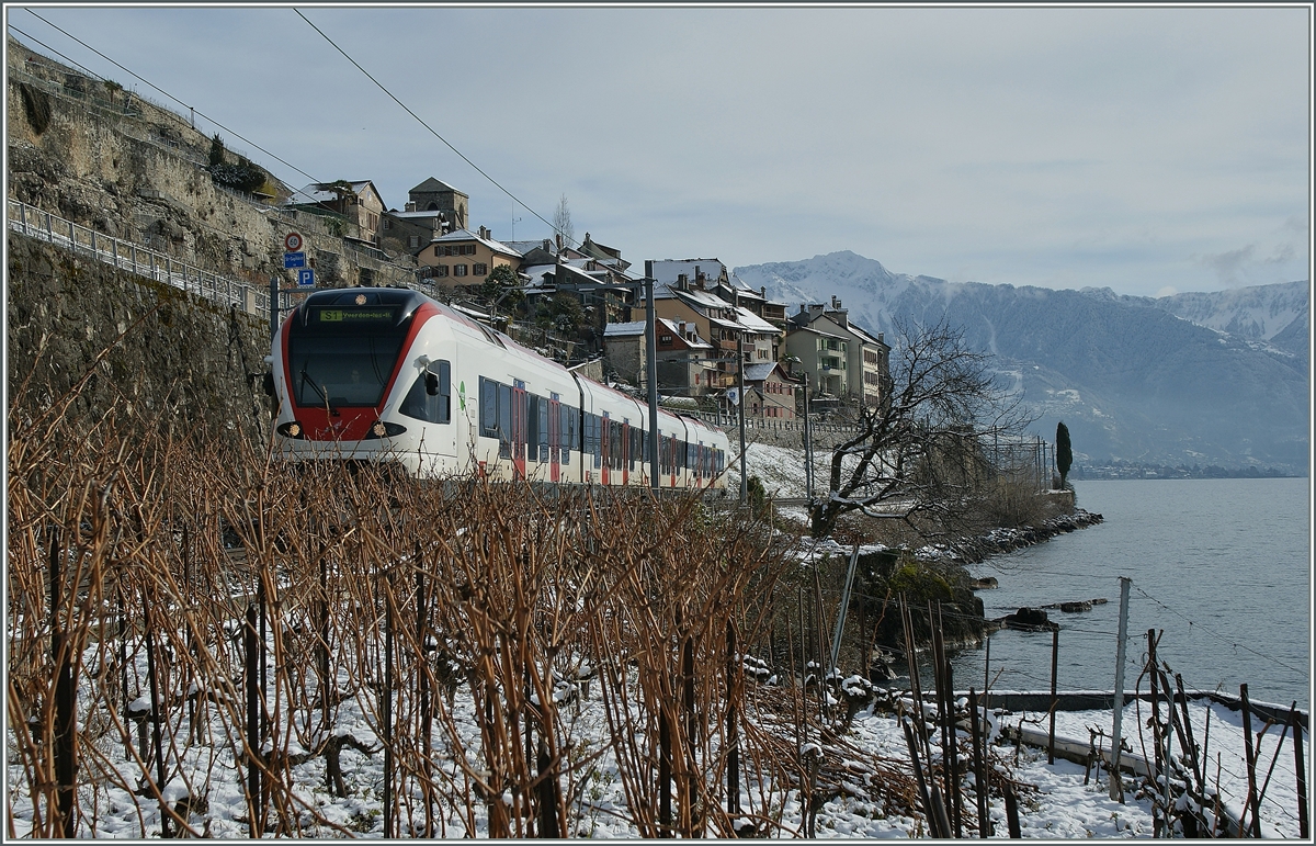 Schnee im Lavaux ist eher selten. 
Ein Flirt beim winterlichen St-Saphorin am 8. Feb. 2013