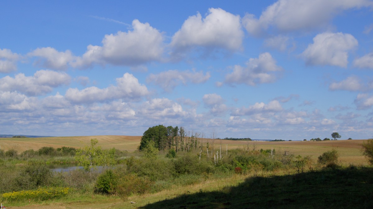 Uckermark - Landschaft im August 2014 