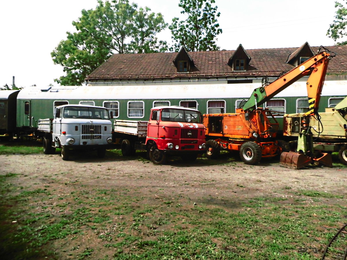 W50 und T-174 Bagger beim Sommerfest im Eisenbahnmuseum Weimar am 4.8.18