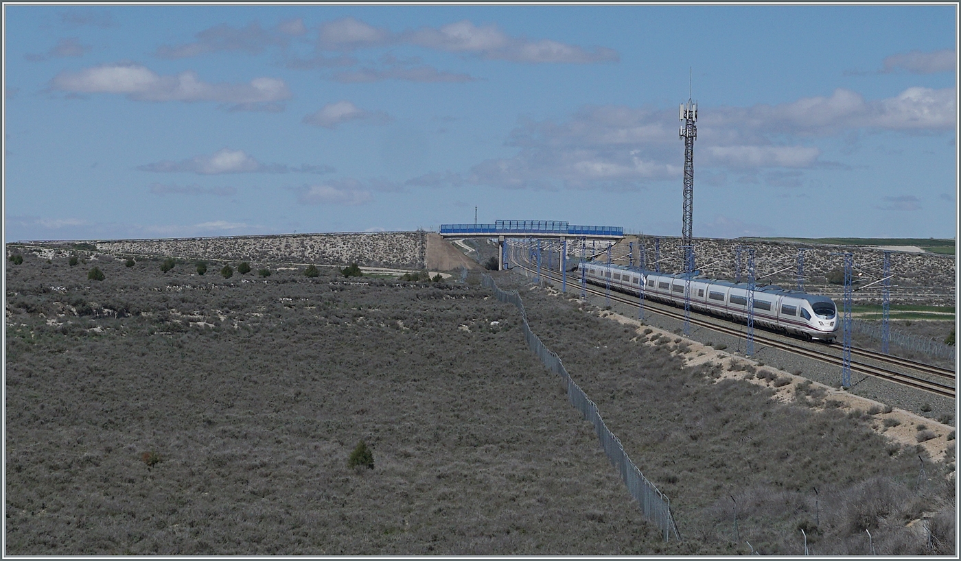 Zwei RENFE AVE 103 Triebzüge sind auf der Hochgeschwindigkeitsstrecke bei Bujaraloz als AVE 3112 auf dem Weg von Baracelana Sants nach Madrid Puerto Atocha. 

18. April 2024