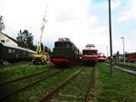 BR 228/623596/w50-kran-e44-xxx-ein-ort W50 Kran, E44 XXX, ein ORT und daneben die 118 XXX im Eisenbahnmuseum Weimar am 4.8.18