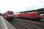 BR 143/810983/143-973-und-146-206-im 143 973 und 146 206 im Bahnhof Pirna am 6.6.22