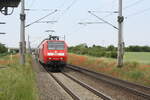 BR 146/741963/146-028-mit-dem-re30-mit 146 028 mit dem RE30 mit ziel Magdeburg Hbf bei der Einfahrt in Zberitz am 9.6.21
