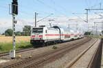 146 564 mit einem InterCity bei der Durchfahrt im Bahnhof Niemberg am 5.7.21