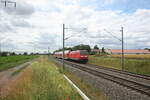 146 008 mit dem RE30 mit Ziel Halle/Saale Hbf unterwegs zwischen Niemberg und zberitz am 5.7.21