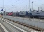 Abgestellte RBH-Loks und eine BR 151 der DB Raillon im Bahnhof Angermnde am 7.9.14