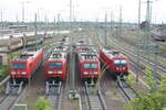 Blick auf E-Loks der Baureihen 185, 152 und 187 in Halle/Saale am 9.6.21