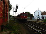 BR 155/613641/155-013-mit-einen-gueterzug-bei 155 013 mit einen Güterzug bei der Durchfahrt in Güsen (b Genthin) am 1.6.18