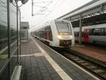 1648 437/937 und 1648 409/909 im Bahnhof Halle (Saale) Hbf am 2.2.19