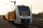 abellio-rail-mitteldeutschland/761063/1648-906406-im-bahnhof-haldensleben-am 1648 906/406 im Bahnhof Haldensleben am 6.11.21