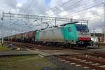 alpha-trains/691661/am-25-februar-2020-schleppt-186 Am 25 Februar 2020 schleppt 186 243 ei8n Kesselwagenzug durch Rzepin.