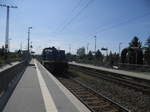 275 101 der EVB beim durchfahren des Bahnhofs Halle-Rosengarten am 15.5.17