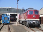leipziger-eisenbahngesellschaft-mbh-leg/489277/v22-250-137-und-132-158 V22, 250 137 und 132 158 der LEG in Delitzsch am 14.3.16