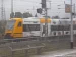 ODEG VT 650 im Bahnhof Eberswalde am 1.9.14