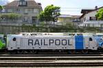 RAILPOOL/796938/seitenblick-auf-railpol-187-006-in Seitenblick auf Railpol 187 006 in SPiez am 5 Juni 2014.