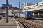 widmer-rail-services-ag-wrs/863450/die-wrs-re-475-902-wartet Die WRS Re 475 902 wartet in Lausanne mit ihrem l-Zug auf die Weiterfahrt in Richtung Brig fr die Weiterfahrt.

7. Mrz 2024