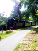 doellnitzbahn-wilder-robert/501854/99-1608-am-haltepunkt-kleinforst-rosensee-am 99 1608 am Haltepunkt Kleinforst-Rosensee am 4.6.16