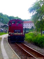 doellnitzbahn-wilder-robert/501857/199-031-im-bahnhof-altoschatz-rosenthal-am 199 031 im Bahnhof Altoschatz-Rosenthal am 4.6.16