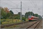 Von Rostock nach Sassnitz unterwegs ist dieser DB Flirt bei der Einfahrt in Ribnitz Dammgarten West.
26. Sept. 2017