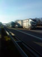 LKW MAN TGX Hngerzug mit Viehtransportaufbau gesehen auf der A 61 Hhe Raststtte Dannstadt beim berholen eines Autotransporters am 15.01.2014