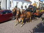 Haflinger mit der Pferdekutsche beim Erntefestumzug in Putbus am 21.9.13