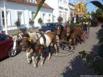 Liwitzerschecken Pferde/294352/liwitzerschecken-pferde-mit-kutsche-beim-erntefestumzug Liwitzerschecken Pferde mit Kutsche beim Erntefestumzug in Putbus am 21.9.13