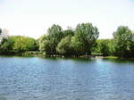schwane-a-enten-allgemein/559351/schwaene-und-enten-an-einen-see Schwne und Enten an einen See an der Pferderennbahn am 26.5.17