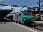 Die SNCF BB 37 059 in Genve.