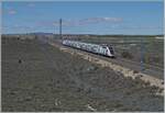 duplex-6/845479/der-sncf-tgv-ouigo-rame-813 Der SNCF TGV OUiGO Rame 813 ist bei Bujaraloz auf der Schnellfahrstrecke von Madrid nach Barcelona unterwegs.

18. April 2024