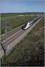 Der TGV Triebzug (Rame) 851 ist bei Saint Émiland als TGV 6609 von Paris Gare de Lyon nach Paris unterwegs. Auf diesem Streckenabschnitt verkehren die Züge mit bis zu 270 km/h pro Stunde. (Weiter südlich und nördlich mit bis zu 300 km/h). 6. April 2024