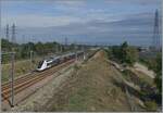 duplex-6/863425/in-schneller-fahrt-ist-der-sncf In schneller Fahrt ist der SNCF INOUI TGV 6871 bestehend aus dem TGV Rame 267 auf dem Weg von Toulouse nach Lyon unterwegs und konnte Kilometer 577.2 der LGV 75200 bei Lapalud im Rohnetal zwischen Valence und Avignon fotografiert werden. 

1. Okt. 2024 