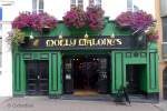 Molly Malone's Irish Pub in Brighton, Sussex, England.