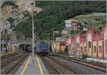 E 464/863683/die-fs-trenitalia-e-464399-erreicht Die FS Trenitalia E 464.399 erreicht mit einem Regionalzug den Bahnhof von Finale Liguere. 

17. Juni 2024 