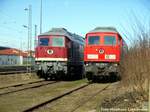 ja nur das 232 229 als Ersatzteilspender da ist und die 132 004 Einsatzfähig ist
LG ... Matth ja nur das 232 229 als Ersatzteilspender da ist und die 132 004 Einsatzfähig ist
LG ... Matth