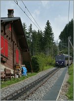 Ein sehr schöner Anblick voller Dynamik! ... Oxfordian Kissuth 16.9.2016 0:58 Ein sehr schöner Anblick voller Dynamik! ... Oxfordian Kissuth 16.9.2016 0:58