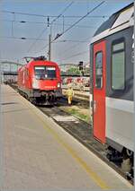 Der ÖBB  Taurus  1016 010-9 übernimmt in Wien Westbahnhof den  Transalpin  nach Zürich.