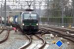 european-locomotive-leasing-ell/804374/am-17-februar-2023-schleppt-rtb Am 17 Februar 2023 schleppt RTB 193 727 die PCC-KLV durch Zutphen nach Rotterdam-Waalhaven.